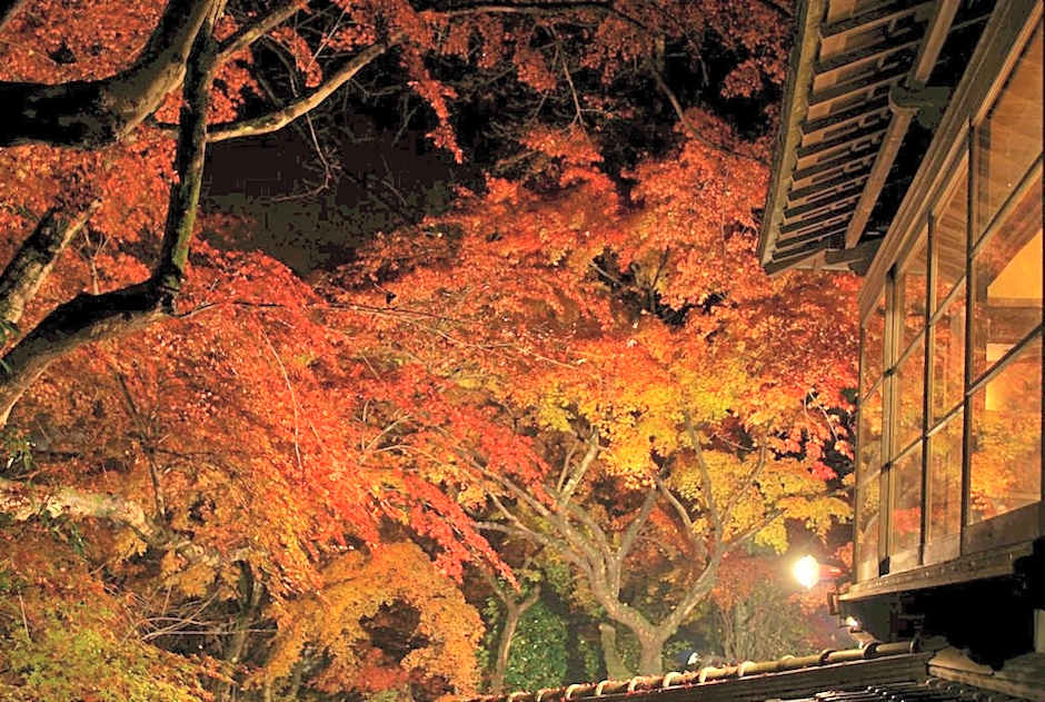 Akizuki Spa Ryokan Seiryuan