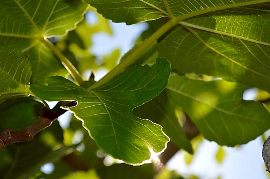 Résidence Saint Michel