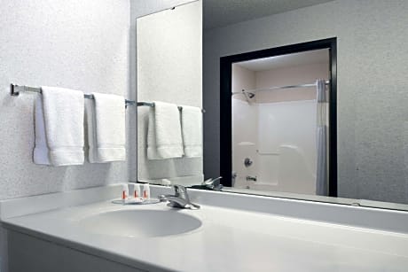Deluxe King Studio Suite - Non-Smoking