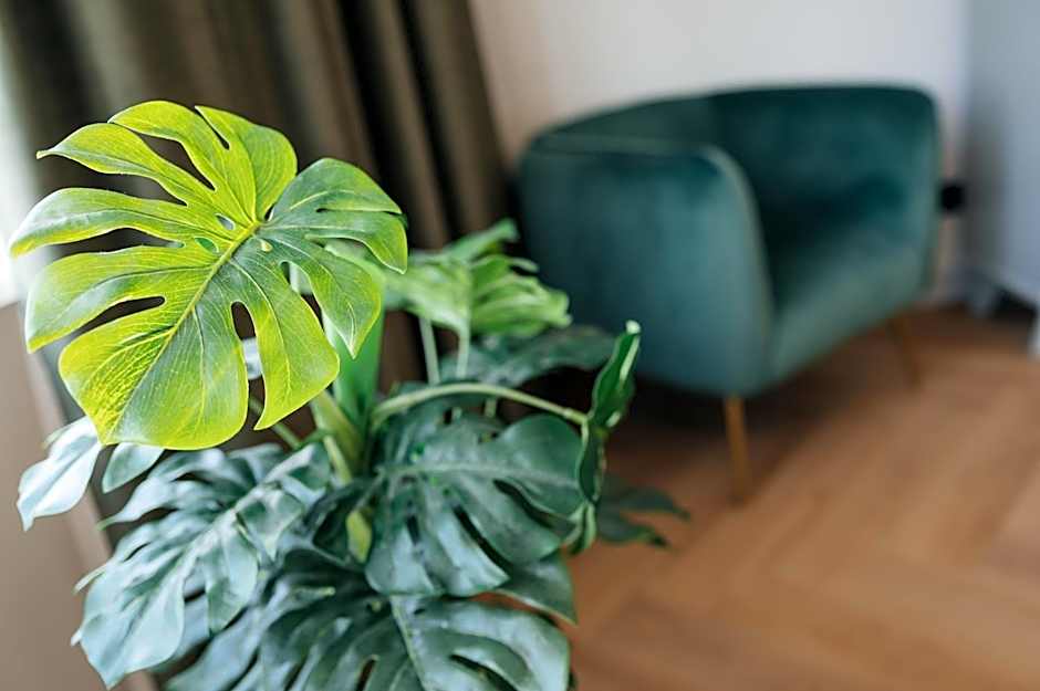 MyHotel Steenwijk - Giethoorn