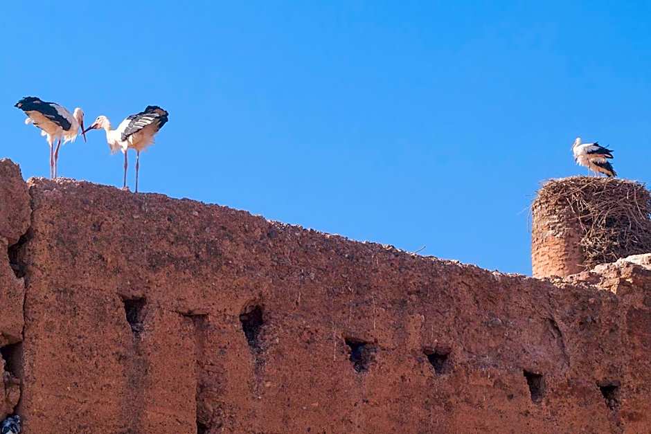Riad Of The Storks