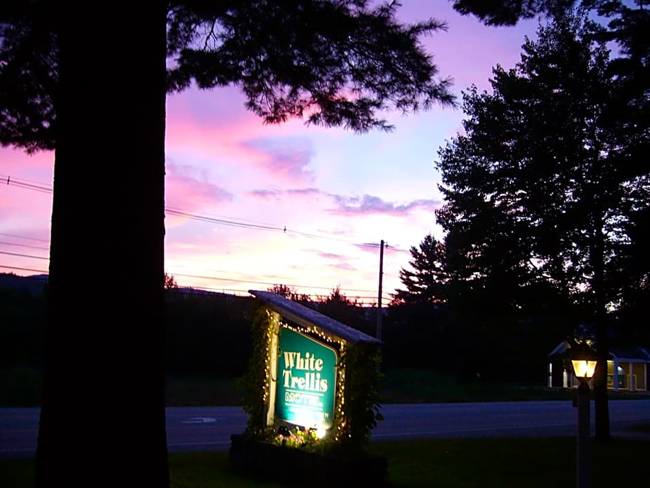 White Trellis Motel