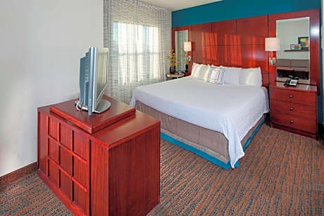 Studio, 1 King Bed with Sofa bed (1 King Bed and 1 Double Sofa Bed)