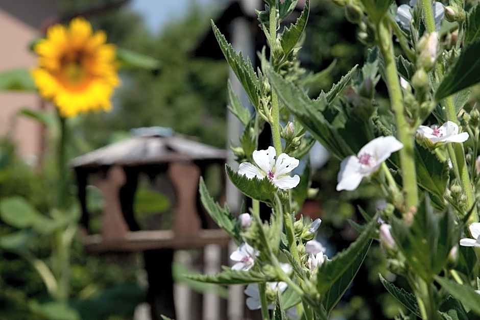 Gästehäuser Anni Ehrndorfer