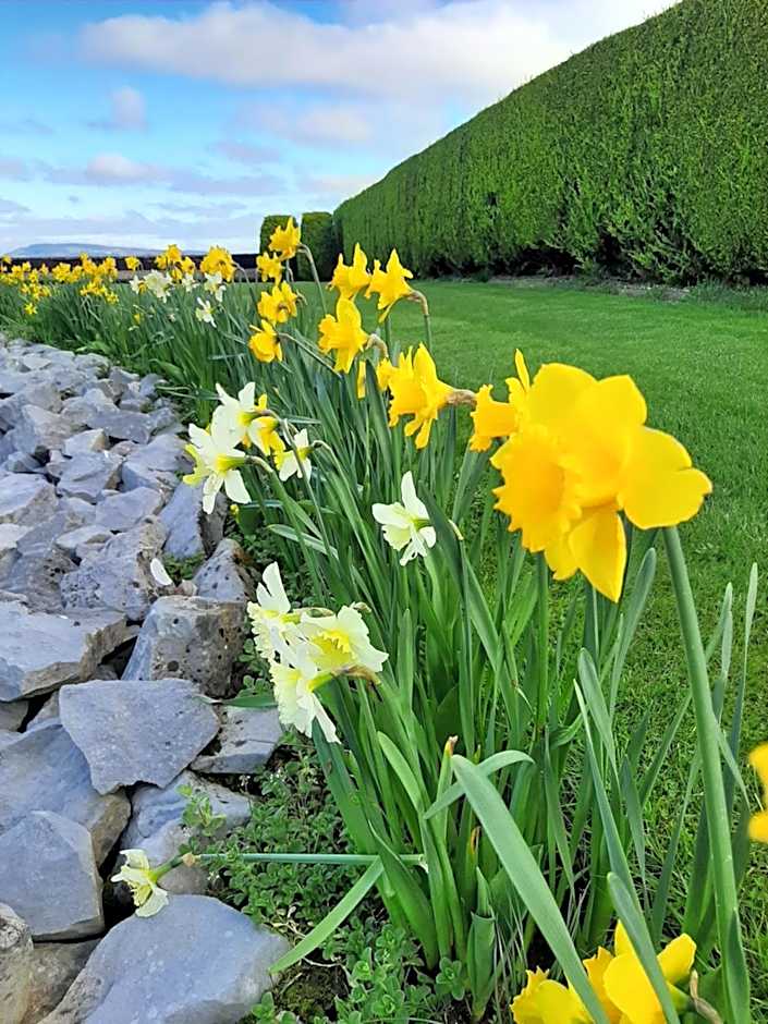 Bunratty Haven Bed & Breakfast