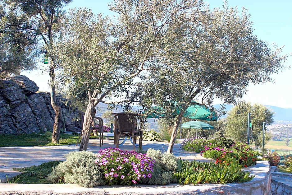 Olive Garden Retreat