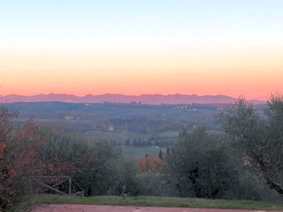 CasaLeTolfe Residence