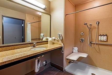 2 Queen Standard Mobil Access Tran Shwr