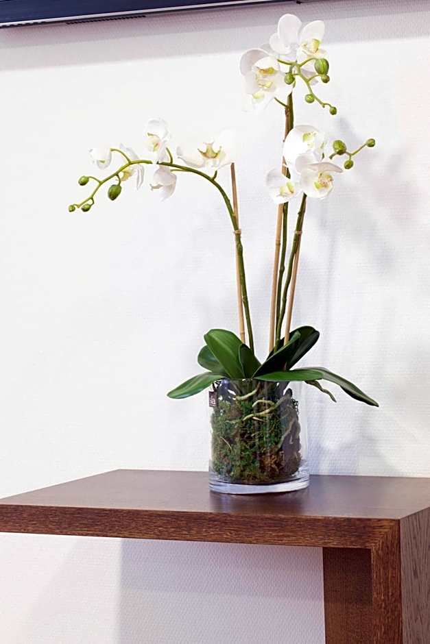 Soho Boutique Oviedo