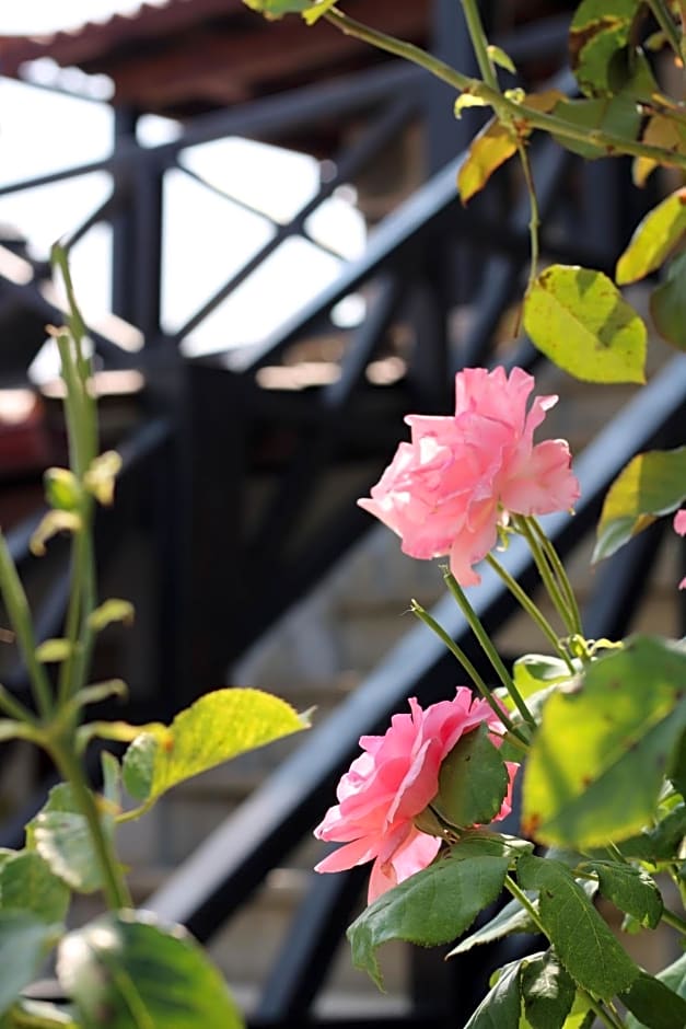 Casa da Aldeia da Avó