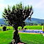 B und B Titisee Hotel Sonnenmatte nahe Badeparadies