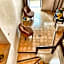 Riad Al Madina