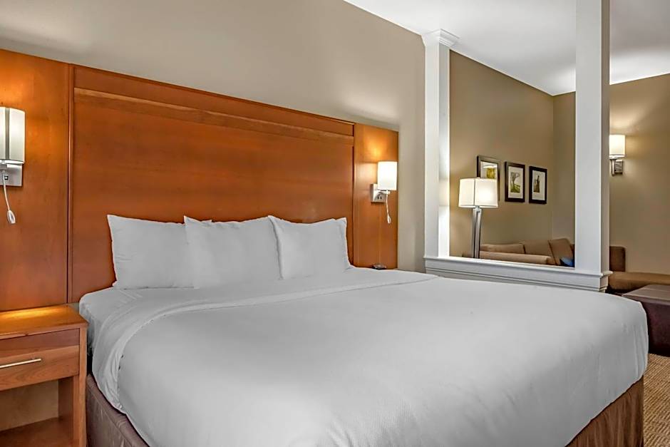 Comfort Suites Hotel and Conference Center