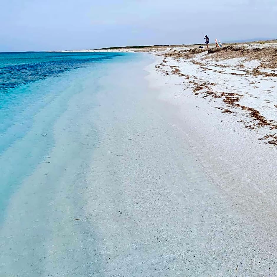 Bed & Breakfast Il Rosmarino