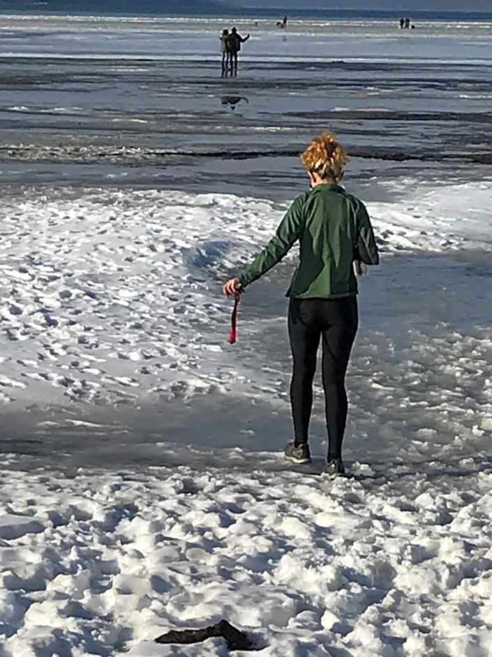 Country Inn & Suites by Radisson, Ithaca, NY