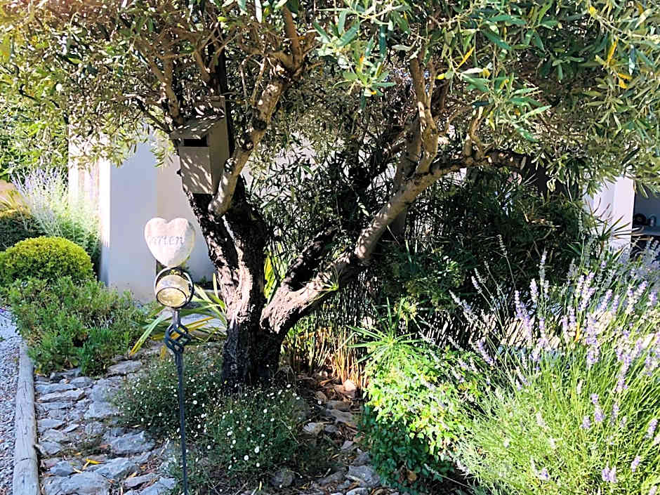 Villa Castillon