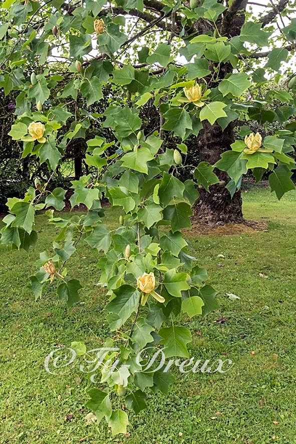 ty dreux entre terre et mer