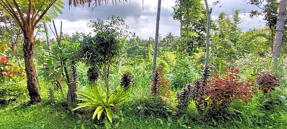 Second Home Bungalows