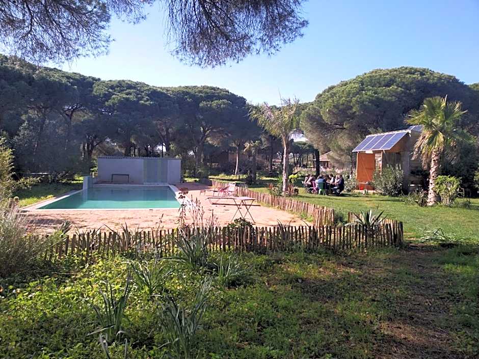 miCielo - Baumhäuser