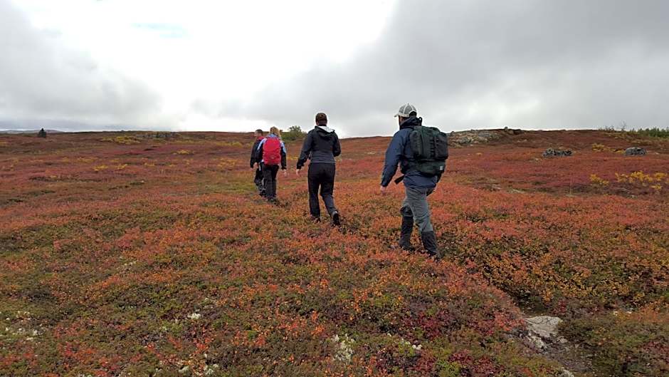 Caribou Lodge Alaska