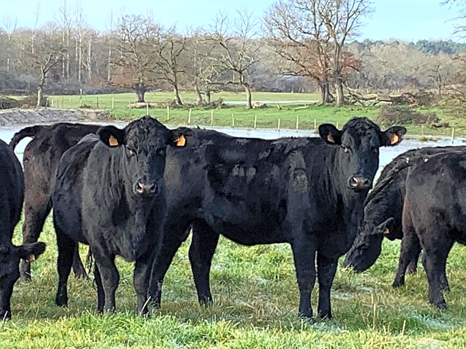 Chambres d hôte à la ferme des Buttons, chambre Iris