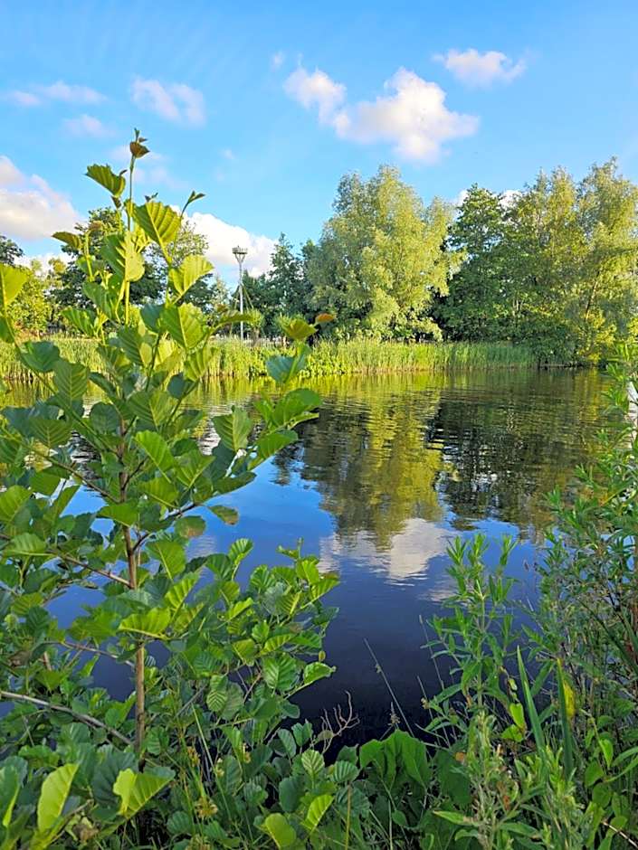Tiny House De Kwekfink