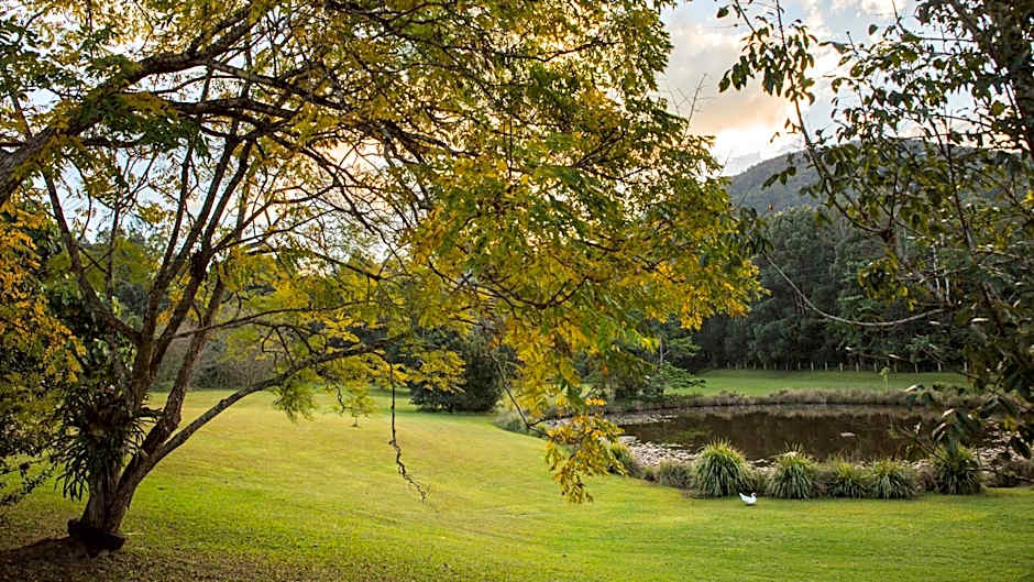 Mavis's Cabins @ Mt Warning