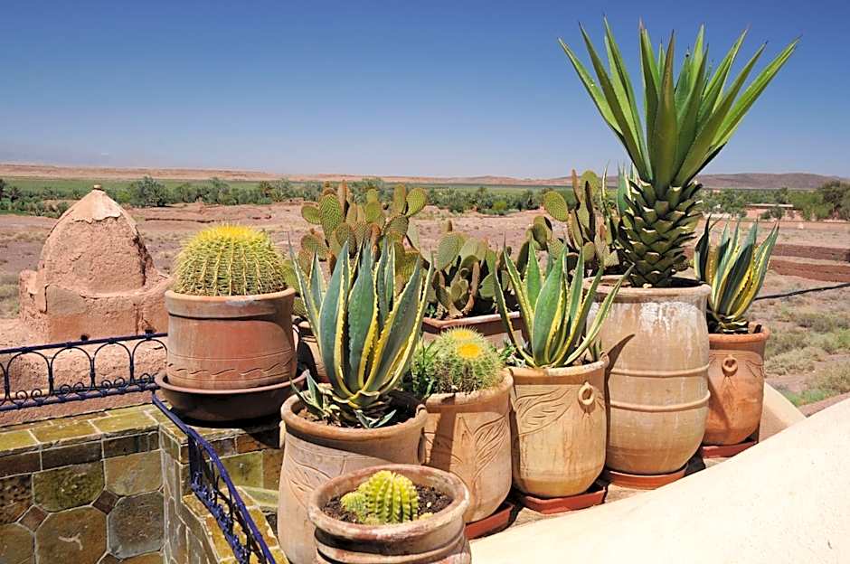 Hôtel Riad Dar Daïf
