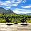Clouds Wine And Guest Estate
