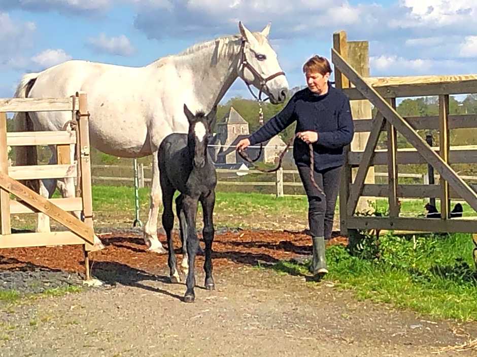 Ancien hôtel aux moines Pierrefitte St Lo