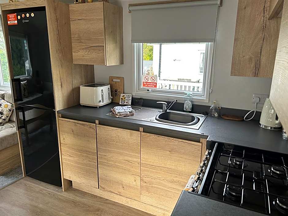 HoneyBees At Glade 17