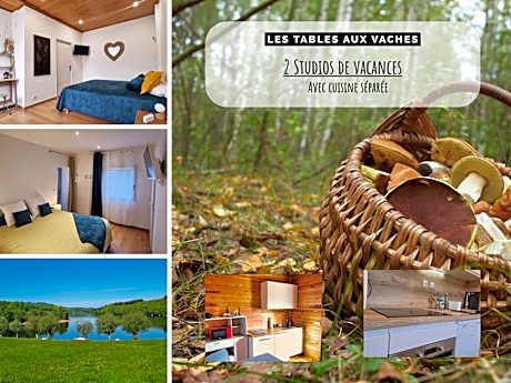 La Salvetat - Studios de vacances - Les Tables Aux Vaches