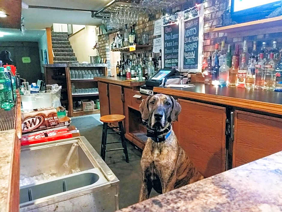 North Ironwood Acres - Black River Lodge