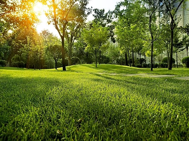 Grand Mercure Xian On Renmin Square