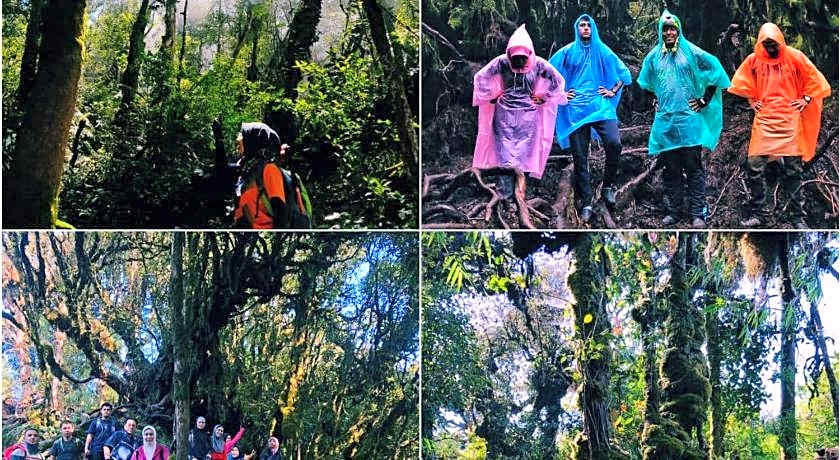 The Cocoon Capsule Hotel