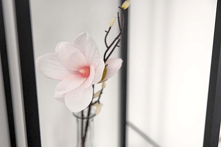 Apartments am Neuen Theater - Altstadt - Zentral - Küche - Wifi - Powered by Ko-Living