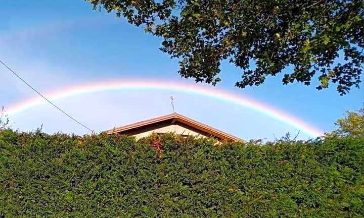 Appartamento il Bosco