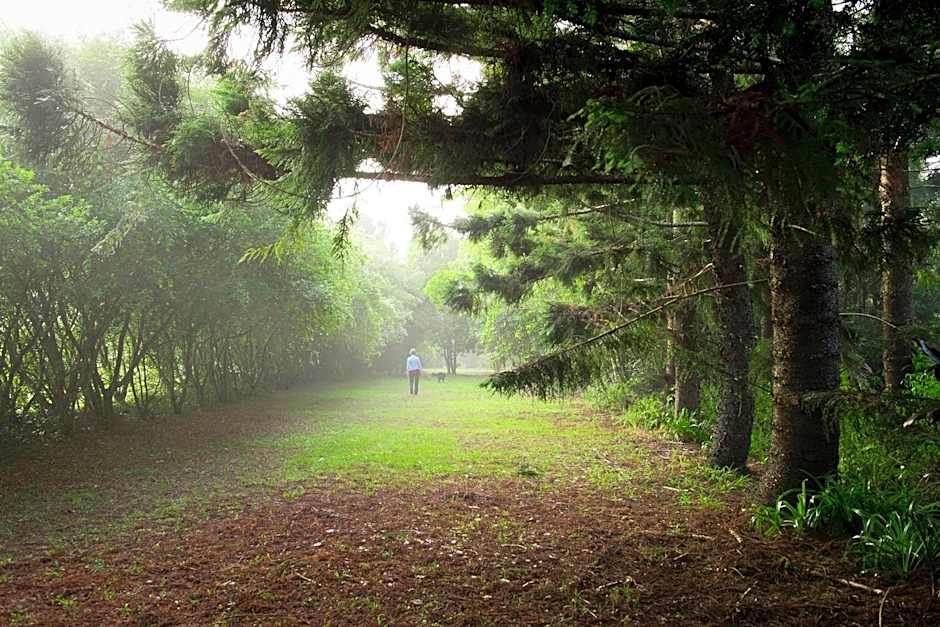 Sharlynn by the River