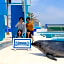 Kamogawa Sea World Hotel