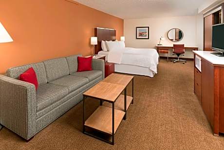 Deluxe, Larger Guest room, 1 King