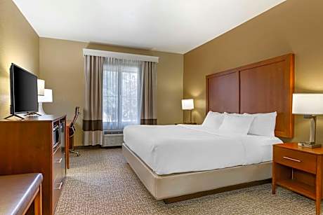 1 King Bed, Nonsmoking, Accessible