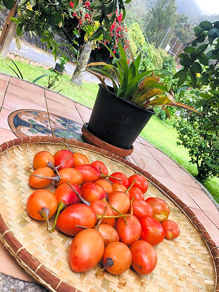 Relais Des Gouverneurs