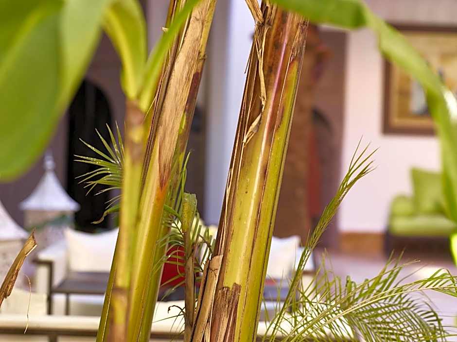 Riad Les Jardins d'Henia