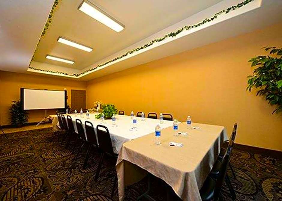 Comfort Suites Bay City East