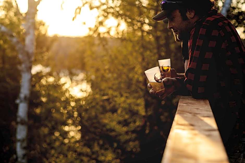 Entre Lemoine et l'arbre