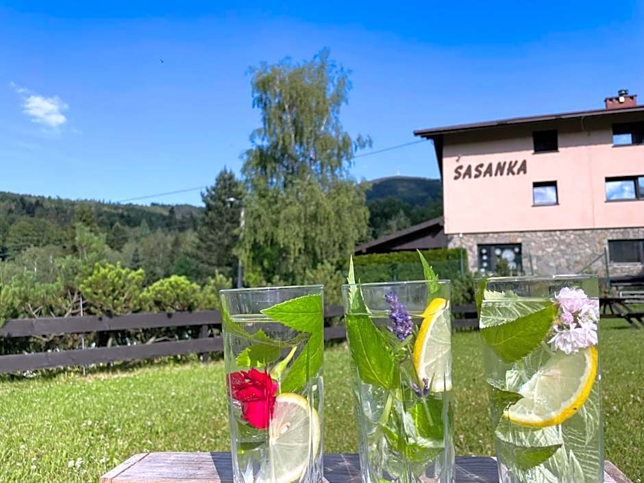 Sasanka przy Gondoli