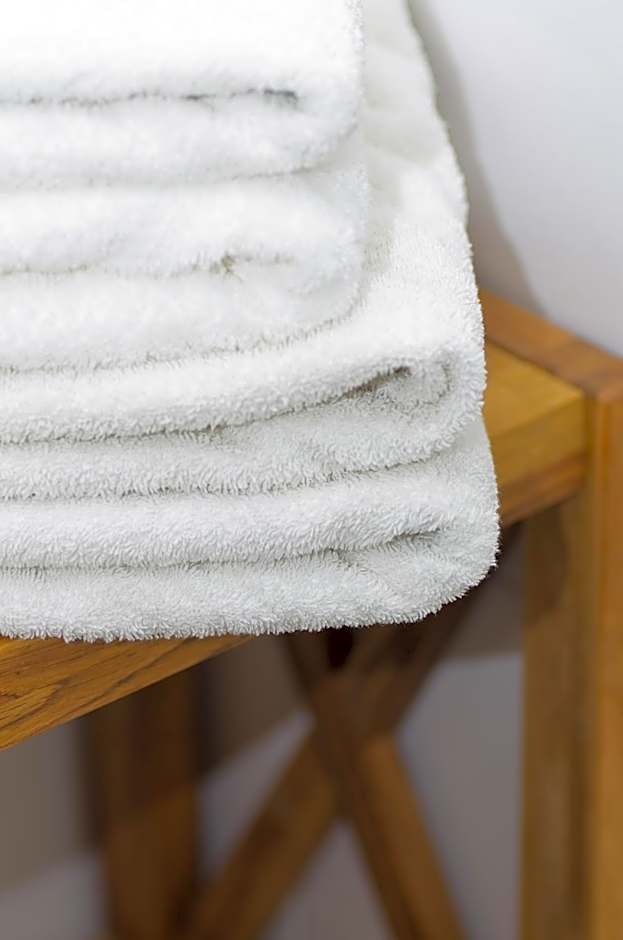 Logis Hôtel Le Vert Galant