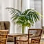 Metropol Hotel