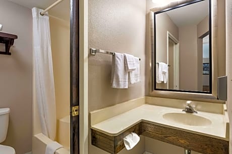 1 King Bed Suite Nonsmoking