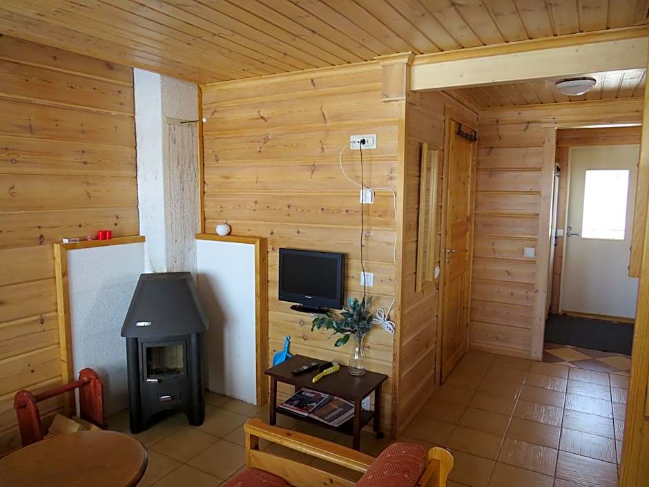 Arctic Polar Holiday Village